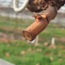 일비농장 이미지