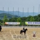 기룡축산 Daum카페