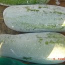 동아농장 이미지