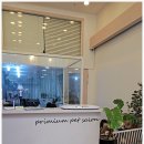 예쁘개 미용 이미지