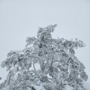나전칠기 자개공예 이미지