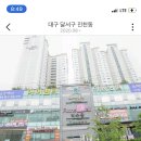 스파인더파리 이미지
