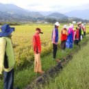 허수아비 이미지