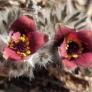 한재공원 이미지