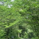 쇼핑산책