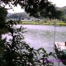 백곡낚시터 이미지