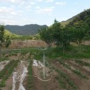 극복 농장 이미지