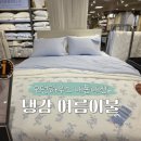 모던이불 | 피부에 닿는 순간 반했다! 보들보들한 촉감의 모던하우스 리오셀 냉감이불 내돈내산 후기