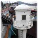 영광홍어 이미지