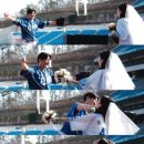 위브스냅