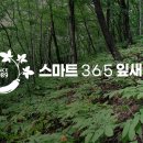 스마트365 이미지