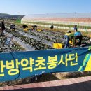 평화농장 이미지