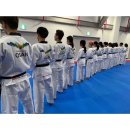 대원 명문 태권도장 이미지