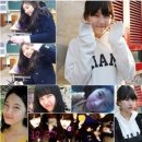 타이거수지