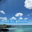블루모먼트 | 제주/스노쿨링 여행 월령해안 숙소 블루모먼트 내돈내산 후기