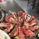 신마포갈매기 이미지
