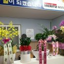 거성정비 이미지
