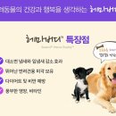 버디메디칼 이미지