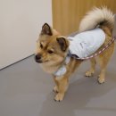 옐레드 문래역점 이미지