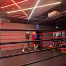 카운터복싱 동탄 목동 이미지
