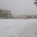 부귀초등학교 이미지