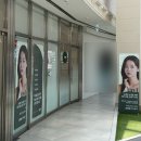 미사눈썹 남자 눈썹컨설팅 ‘타비뷰티’ 대만족 후기(남편찐후기👍)
