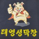 태영스크린 이미지