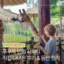 곰할인마트3 | 푸꾸옥 빈펄 사파리 후기 입장권 가격 할인부터 공연 먹이주기 추천 일정까지