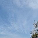 하늘밭농원 이미지