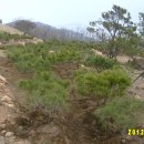 반송목장 이미지