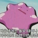 몽쉘PC 이미지