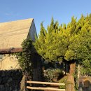 표선면-12 | 제주스러운 표선면 숙소, 소소가옥 🪹🛖