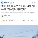 검찰, 이재명 부모 묘소훼손 4명 기소유예…"저주행위 아니었다" 이미지