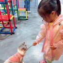 여주-1126 이미지