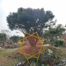 새빛공원 이미지