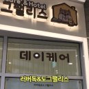 팰리스 독 이미지