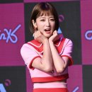 보미 이미지