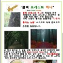 포레스트기획 - 남구 대남대로 280 | 포레스트기획