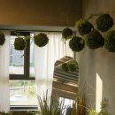 카페 더샤이어 이미지