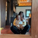 세종펜션 | 대전근교펜션 세종독채펜션 솔직후기 [보섬가]