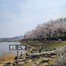 화랑유원지(제1주차장) | 안산시 초지동 "화랑유원지" 후기