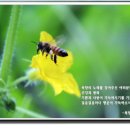 옛생각 이미지