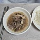 곡성 | 전남 곡성터미널 맛집 함박가든 불백 후기