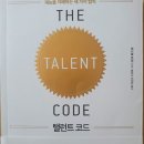 텔런트 Daum카페