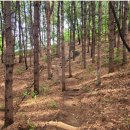 숲과 친해지는 인천대공원 수목원 탐방 | 설 연휴 숲체험 프로그램 총정리 – 자연에서 힐링하세요!