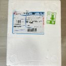 전라도김치 운림가 맛있는 김치추천 알배추겉절이 열무물김치