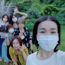 미르메딕스 이미지