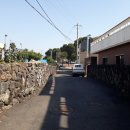 과원동로 이미지