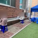 예촌연합의원 이미지