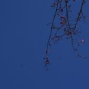 홍매뜨락협동조합 이미지